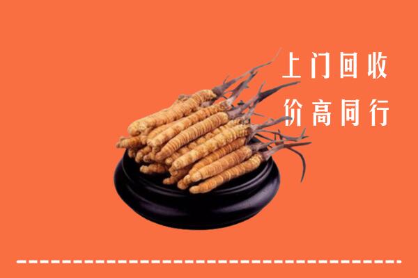 高价求购：新源县回收散虫草